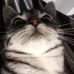 hr頭像