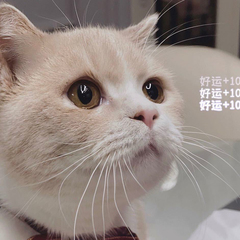 hr頭像