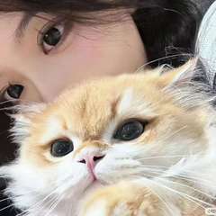 hr頭像