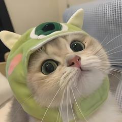 hr頭像