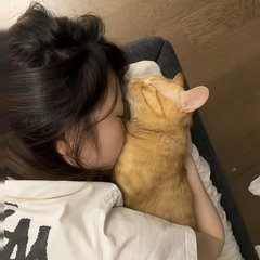 hr头像