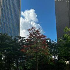hr頭像