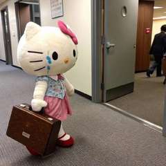 hr頭像