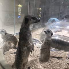 hr頭像