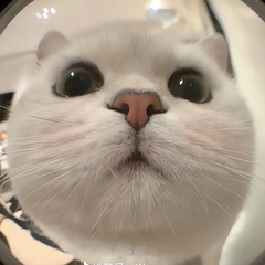 hr頭像