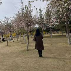 hr頭像