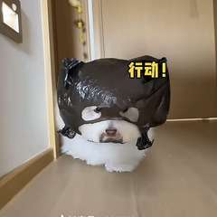 hr頭像