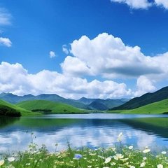 hr頭像
