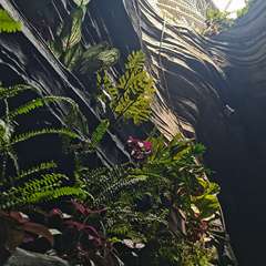 hr頭像