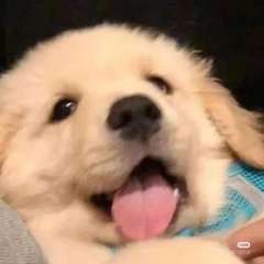 hr頭像