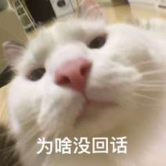 hr頭像