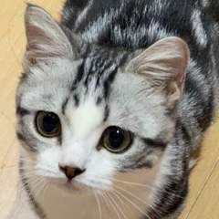 hr頭像