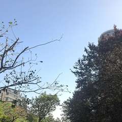 hr頭像