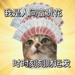 hr頭像