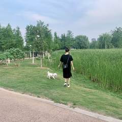 hr頭像