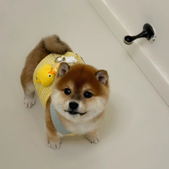 hr頭像