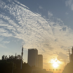 hr頭像