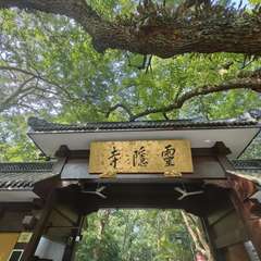 hr頭像