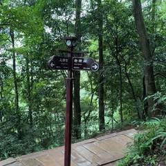 hr頭像