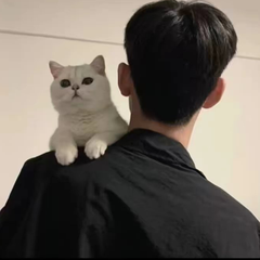 hr頭像