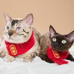hr頭像