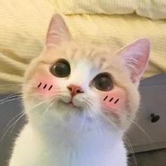 hr頭像