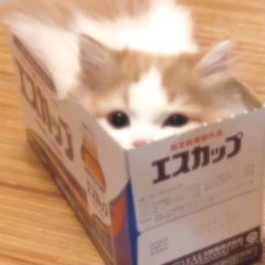 hr頭像