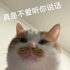 hr頭像