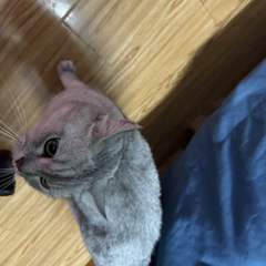 hr頭像