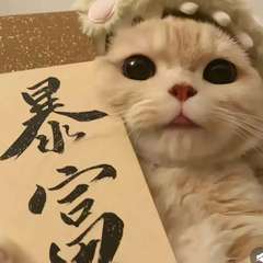 hr頭像