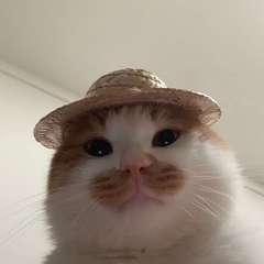 hr頭像
