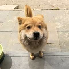 hr頭像