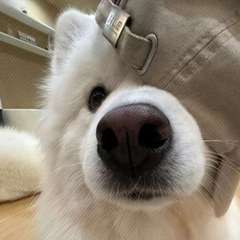 hr頭像
