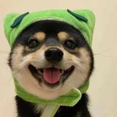 hr頭像