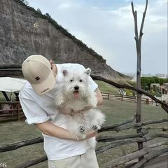 hr頭像