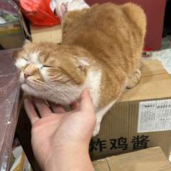 hr頭像