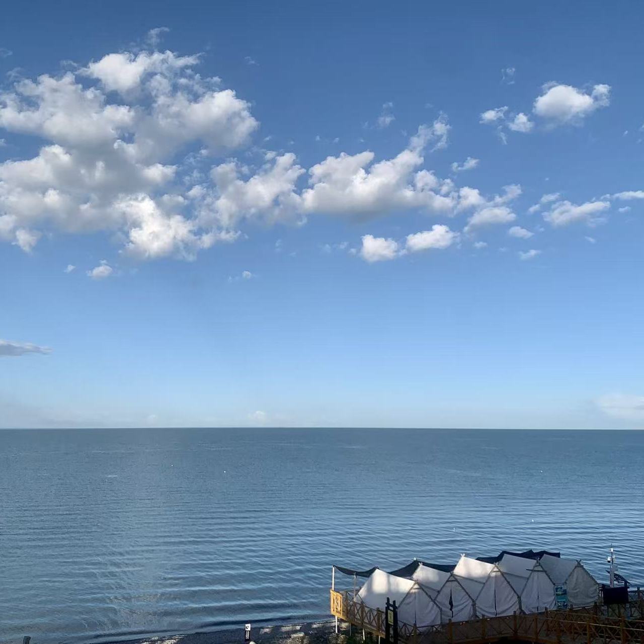职位发布者头像