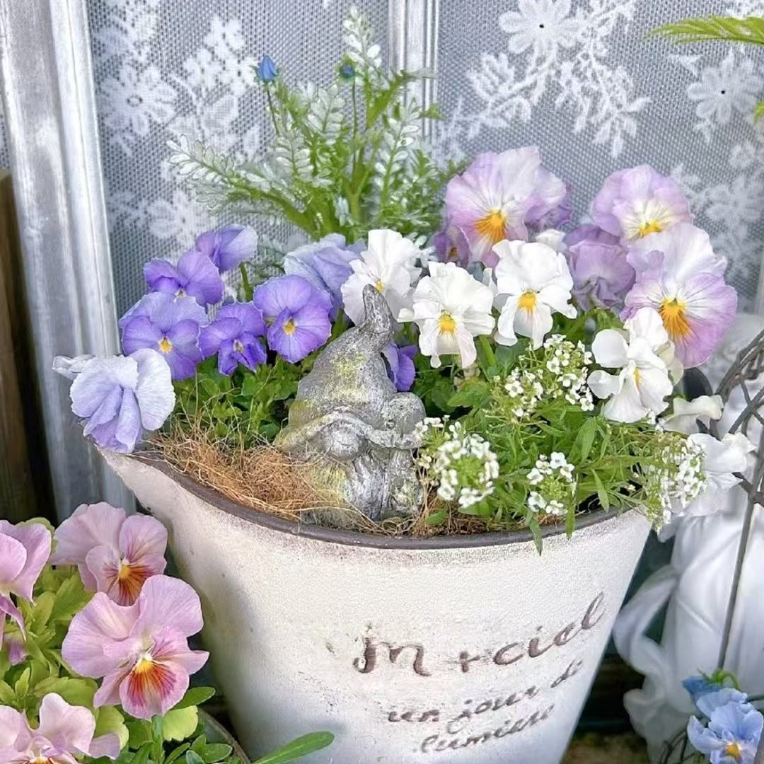 职位发布者头像