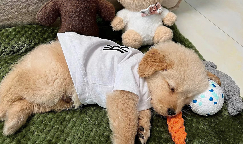 职位发布者头像