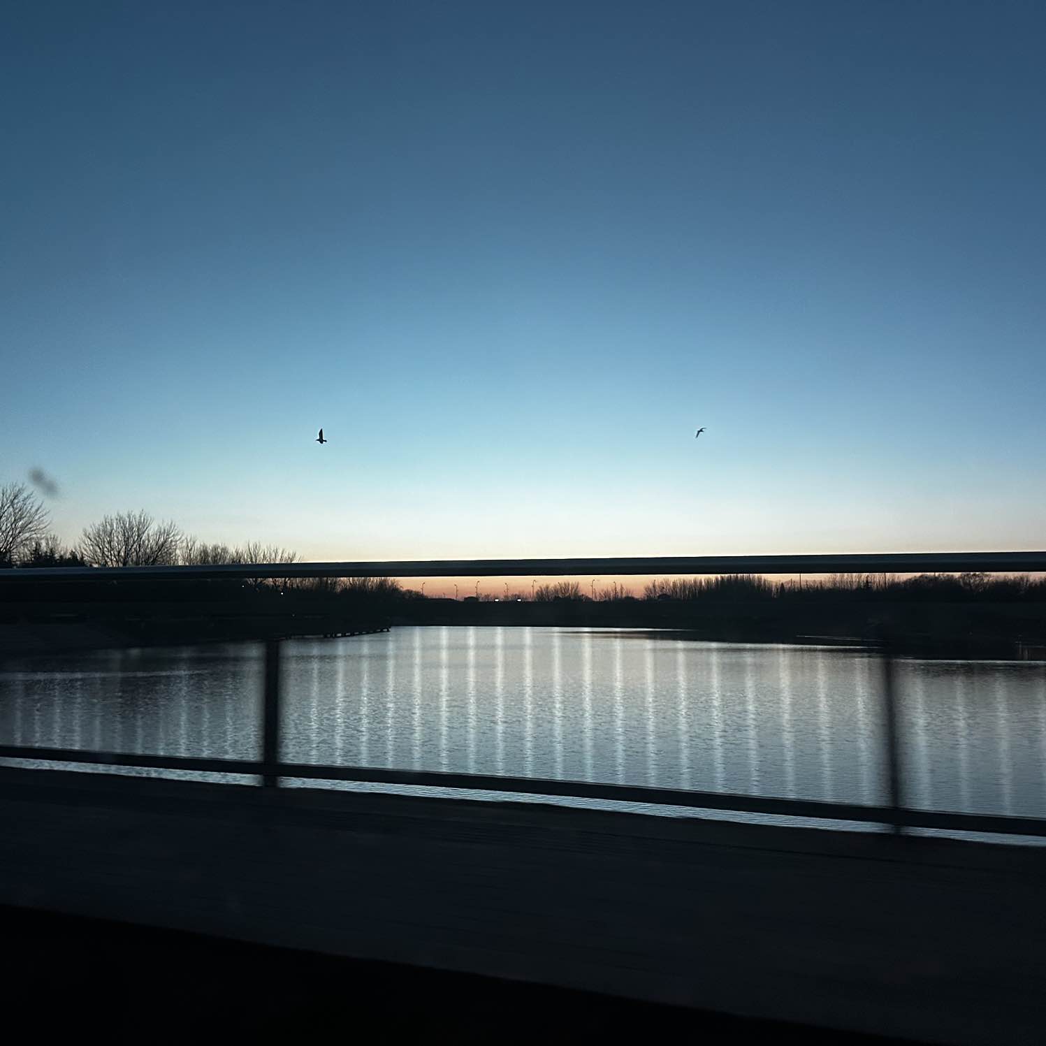 职位发布者头像