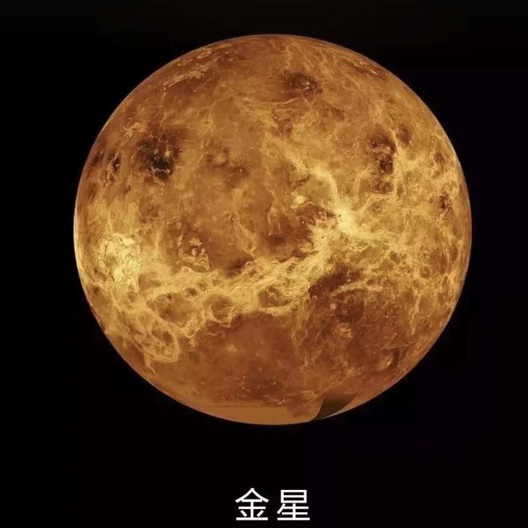 职位发布者头像