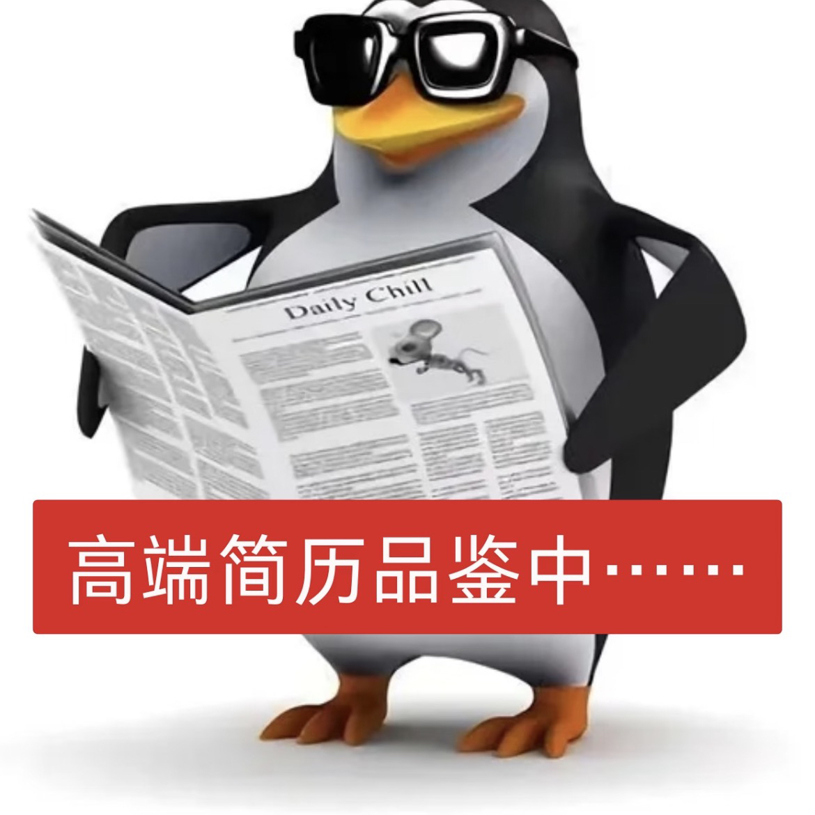 职位发布者头像