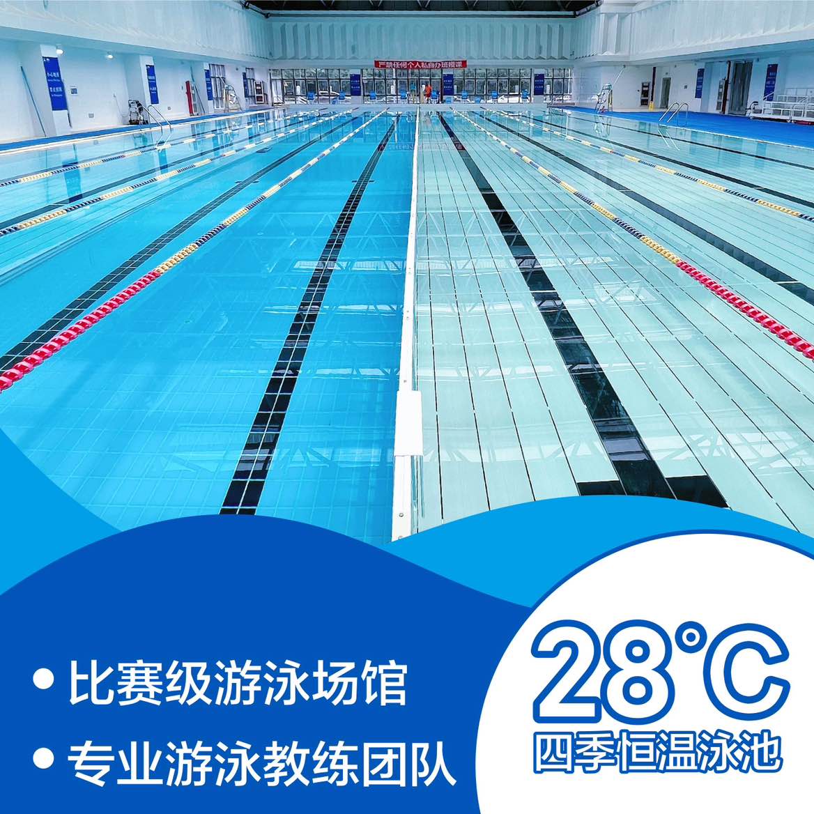 职位发布者头像