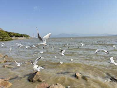 职位发布者头像