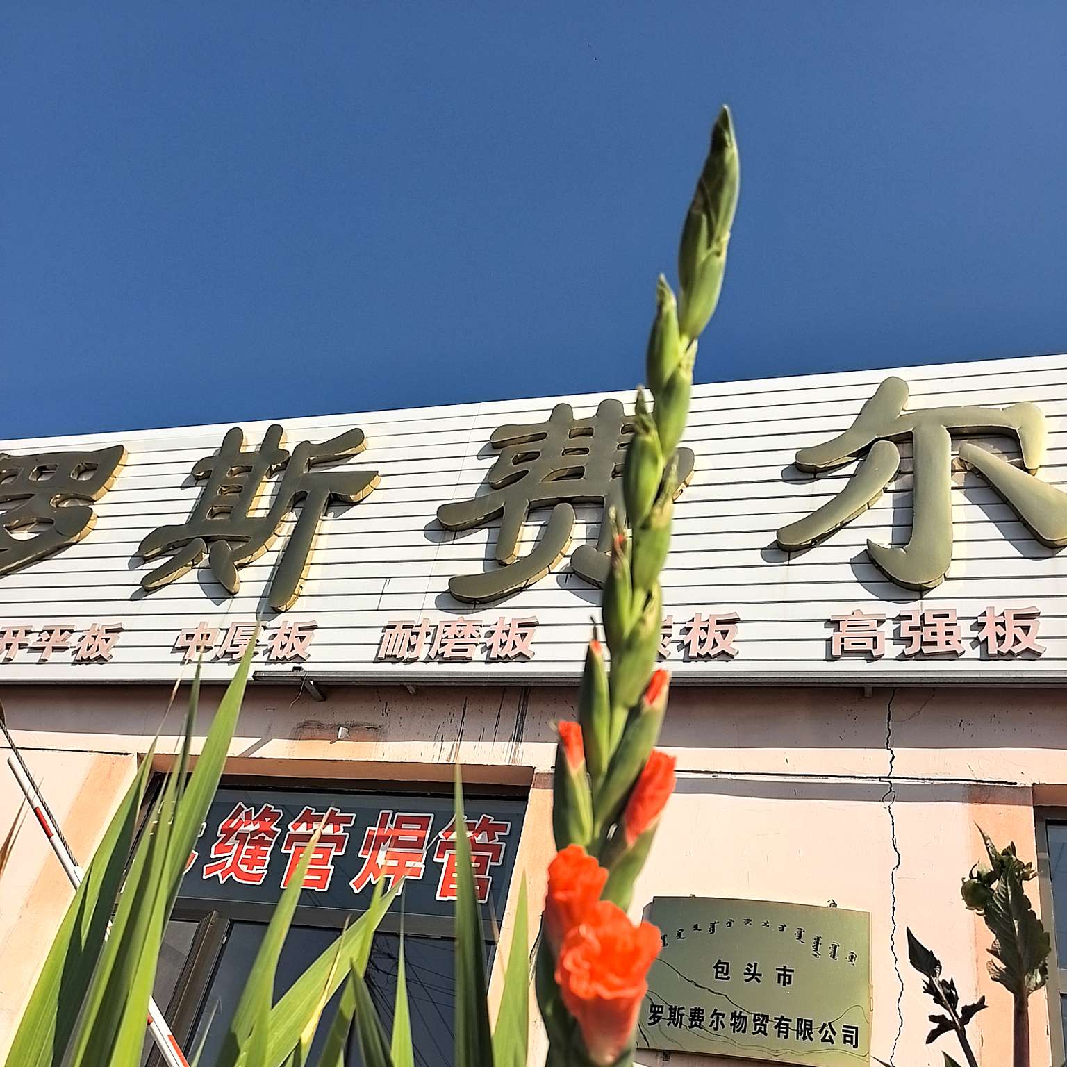 职位发布者头像