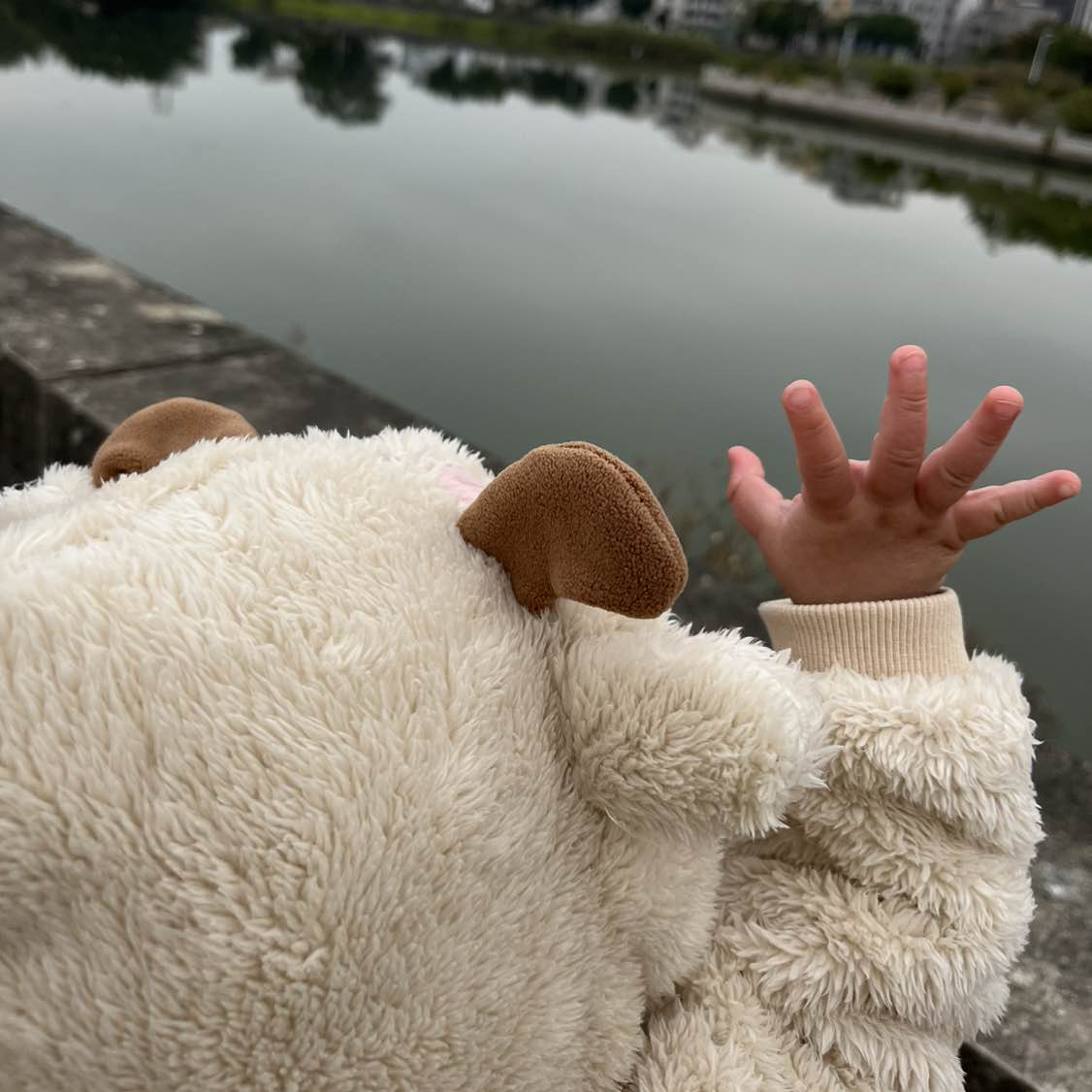职位发布者头像