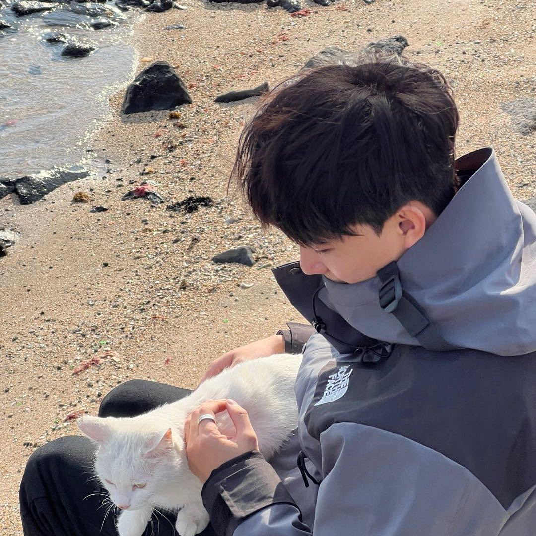 职位发布者头像