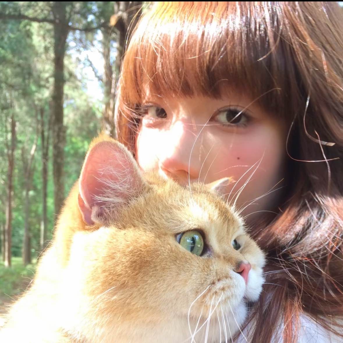 职位发布者头像