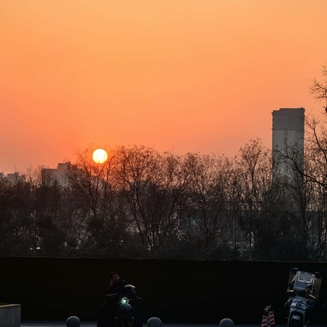 职位发布者头像