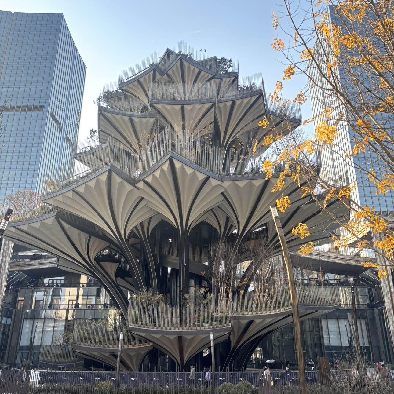 职位发布者头像